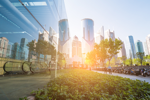 City sunlight buildings trees steel glas skyscraper
